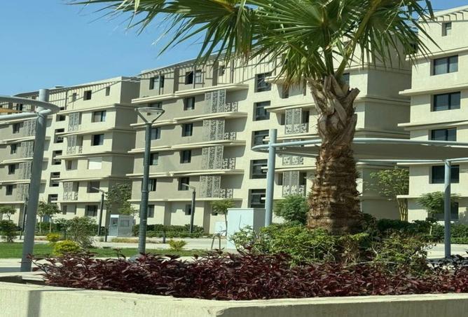 8379607 - صورة العقار 3