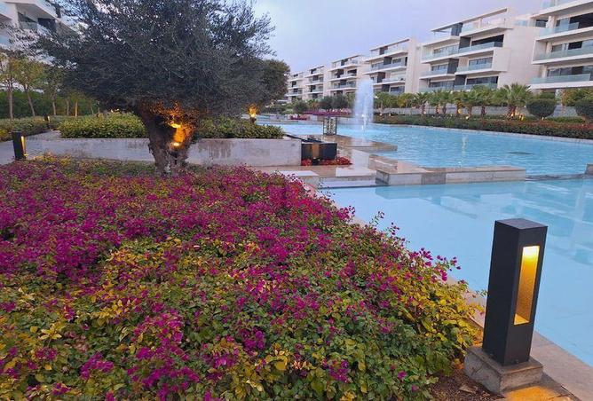 8016133 - Property Image 3