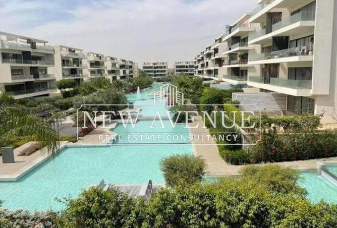 8251972 - Property Image 3