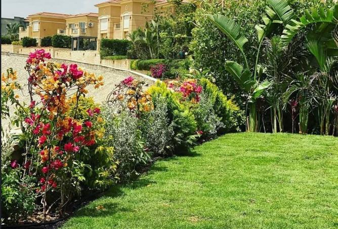 8191366 - Property Image 2