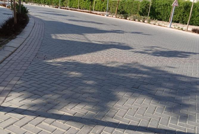 8513797 - Property Image 3