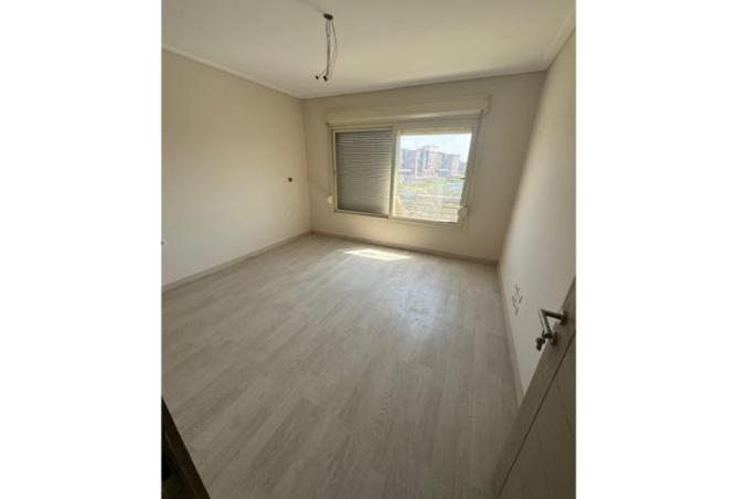8066887 - Property Image 2