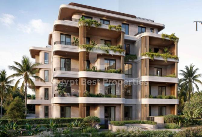 7982628 - Property Image 2
