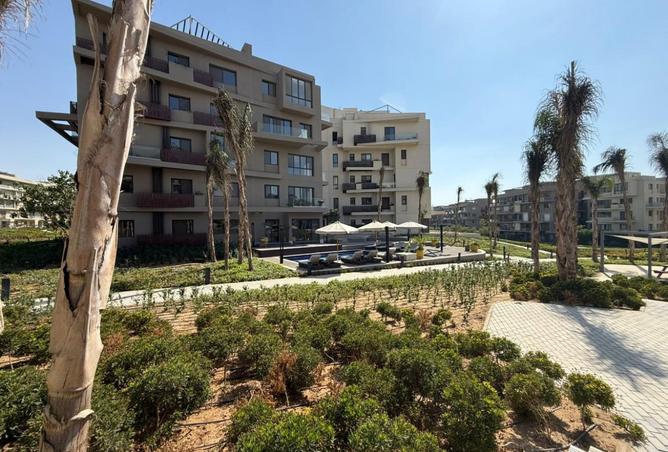 8394753 - Property Image 2