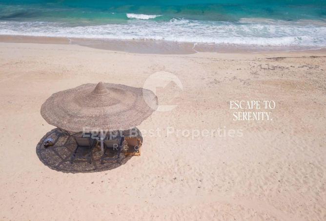 8384429 - Property Image 3