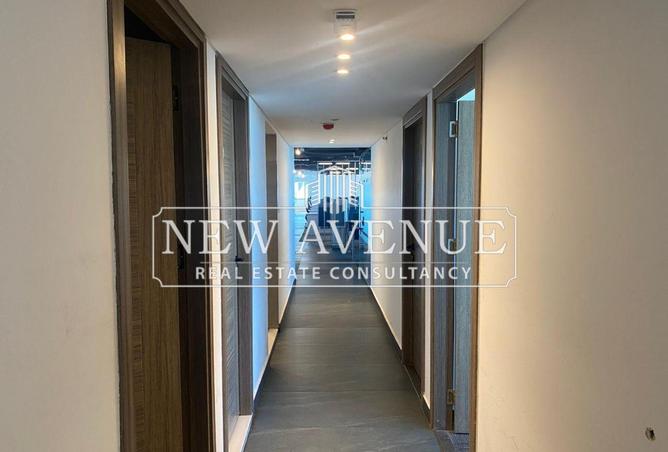 8163851 - Property Image 3