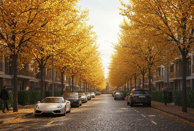 8001264 - صورة العقار 3