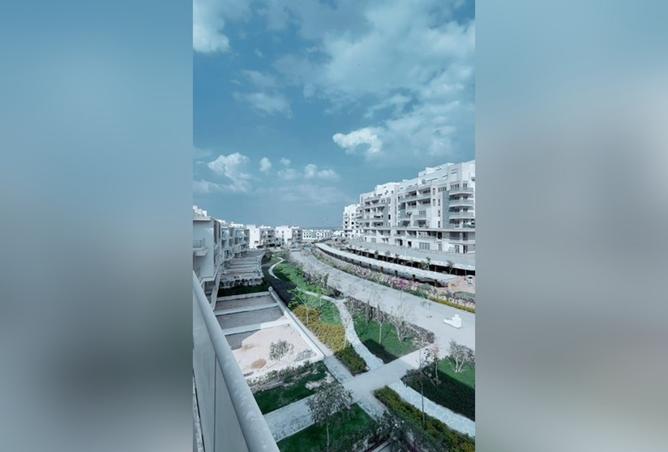 8117115 - صورة العقار 3