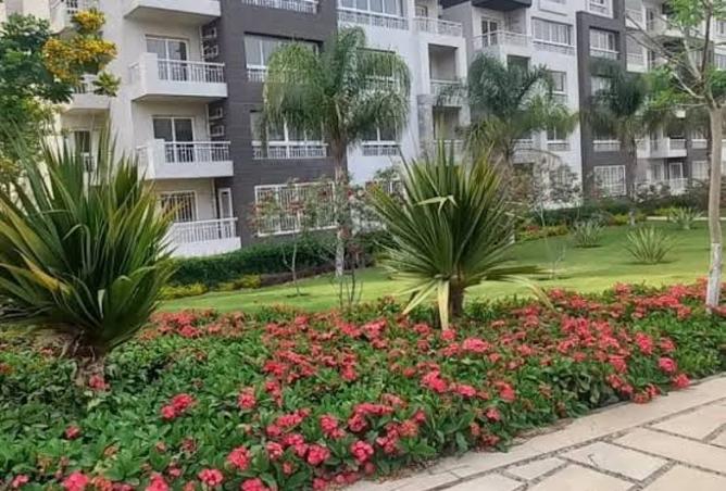8132687 - Property Image 3