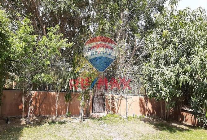 8250527 - Property Image 3