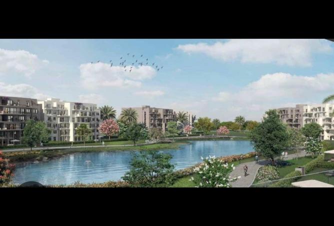 7979024 - Property Image 3