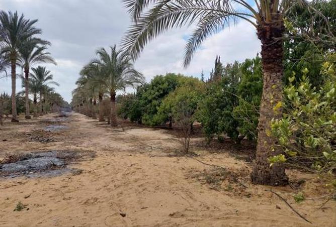 7974595 - الصورة الرئيسية للعقار