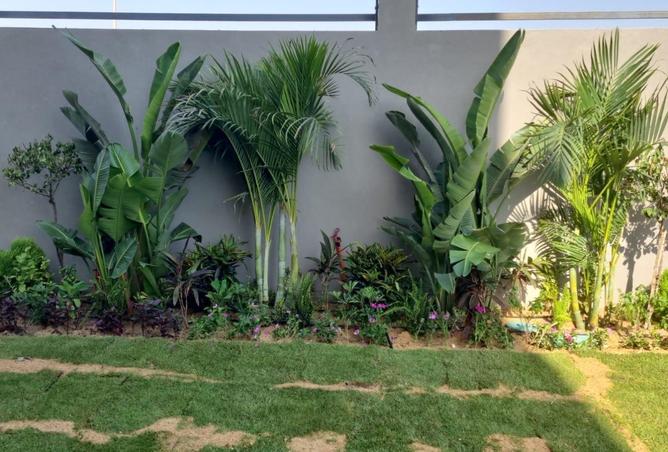 8561150 - صورة العقار 3