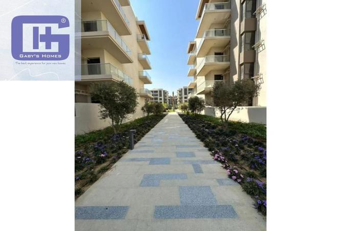 7909843 - Property Image 2