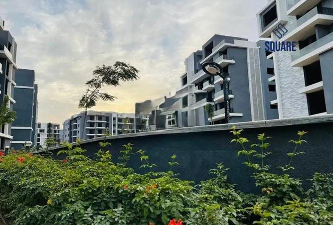 7924549 - Property Image 3
