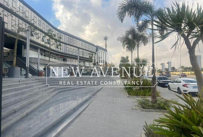 8388650 - Property Image 3