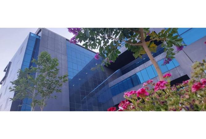 8043828 - صورة العقار 3