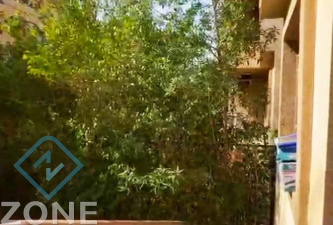 7951014 - الصورة الرئيسية للعقار