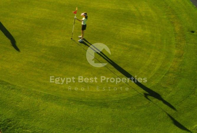 8401993 - صورة العقار 2