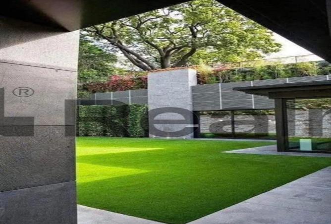 7983522 - الصورة الرئيسية للعقار