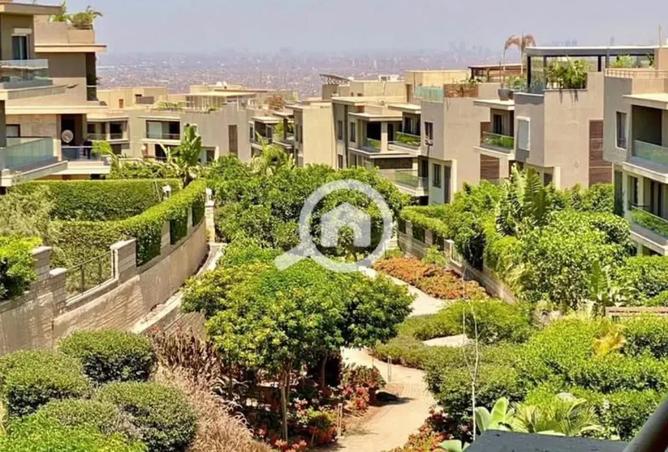 8202450 - Property Image 3