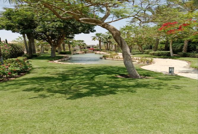 7975879 - Property Image 3