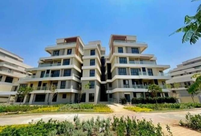 8317727 - Property Image 2