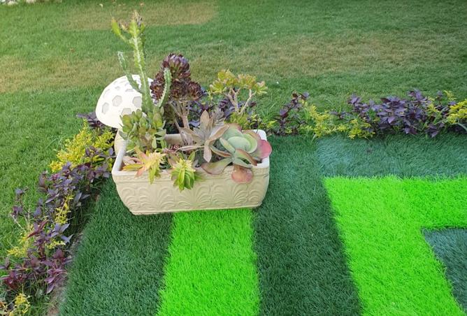 8353831 - صورة العقار 3