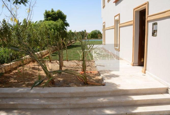 7953687 - صورة العقار 3