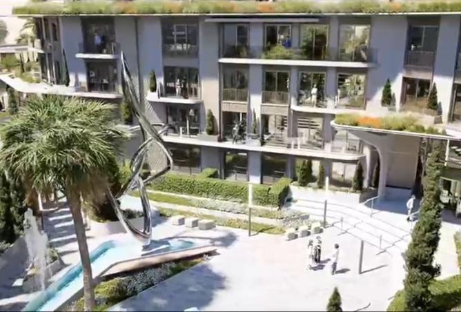 8386725 - Property Image 3