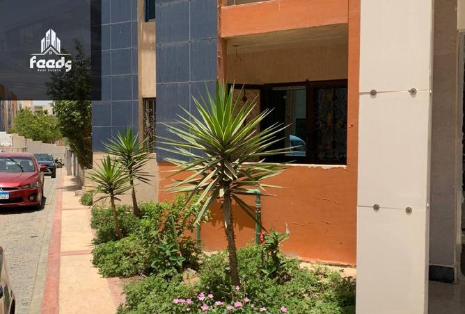 8258364 - Property Image 3