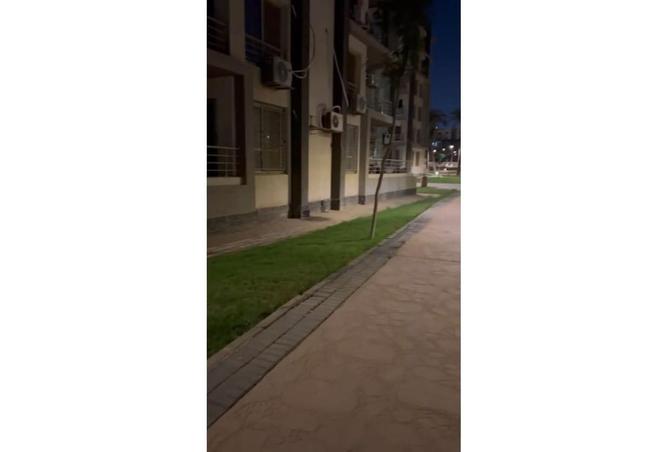 8177318 - Property Image 3