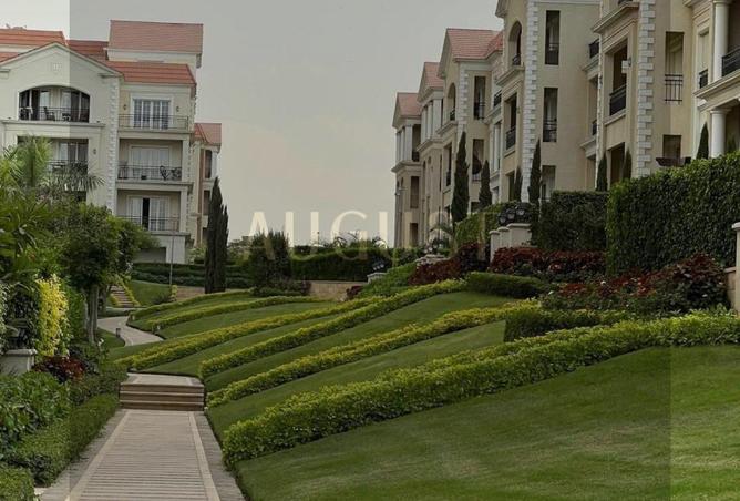 8162060 - Property Image 2