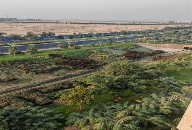 8101567 - صورة العقار 3