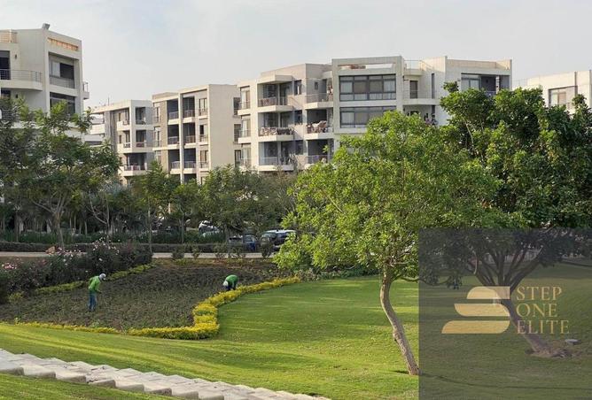 8398708 - صورة العقار 3