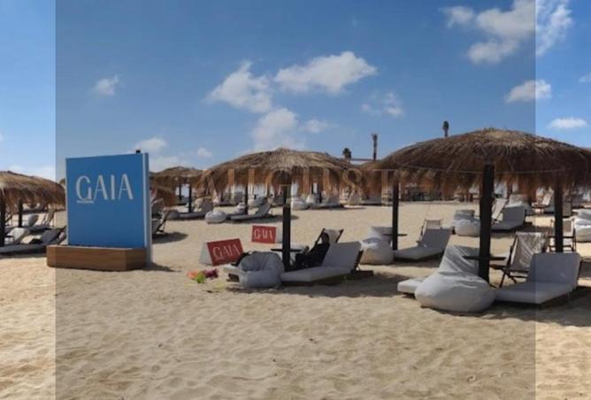 8136644 - Property Image 3