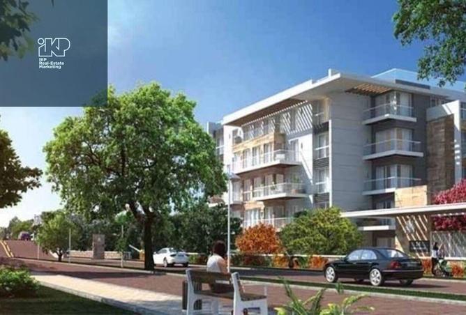 8282650 - Property Image 3