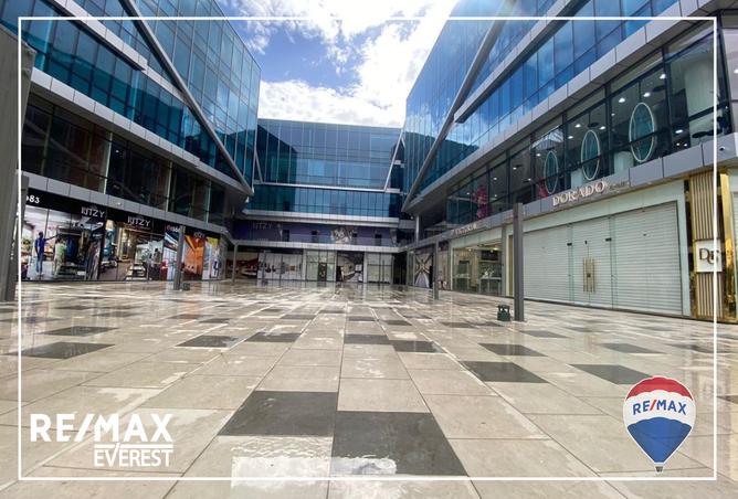 7981350 - Property Image 3
