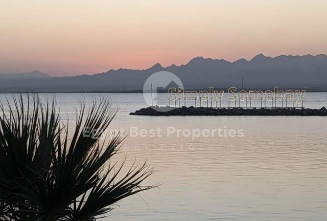 8177105 - صورة العقار 2