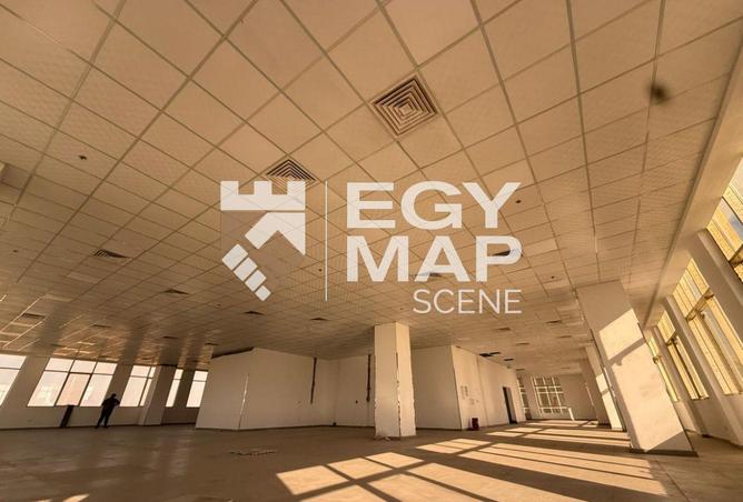 8330726 - صورة العقار 3