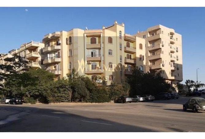 8157751 - صورة العقار 3