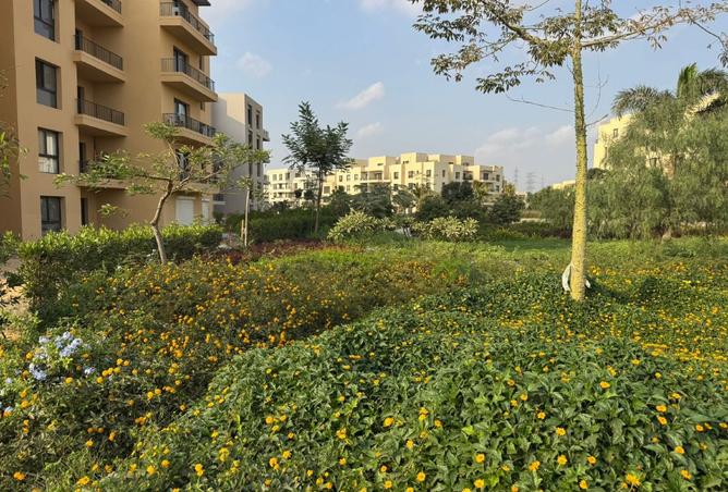 8560647 - Property Main Image