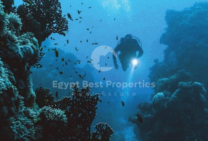 7994077 - صورة العقار 3