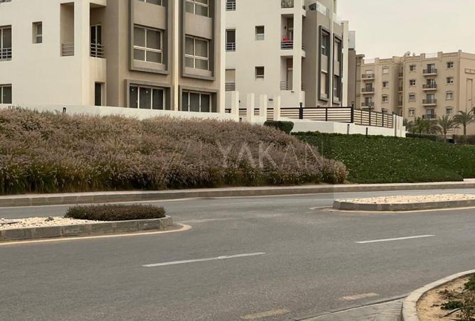 8136704 - الصورة الرئيسية للعقار