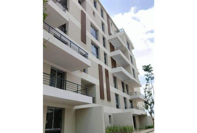 8428550 - Property Image 2