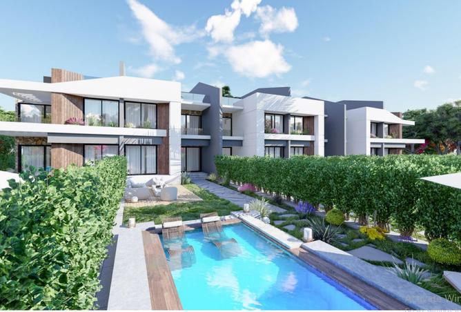 8124275 - Property Image 3