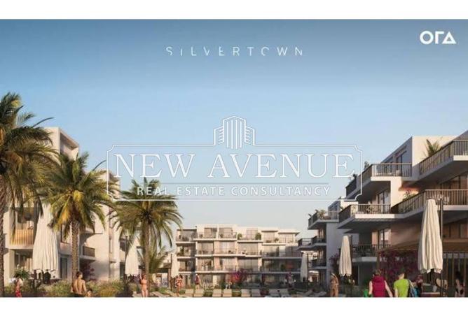 8113386 - Property Image 3