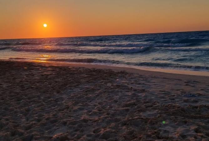 8220194 - صورة العقار 2