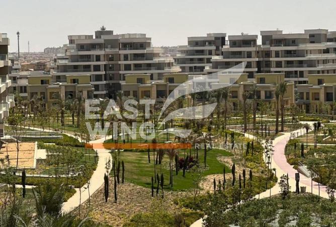 8042364 - صورة العقار 3