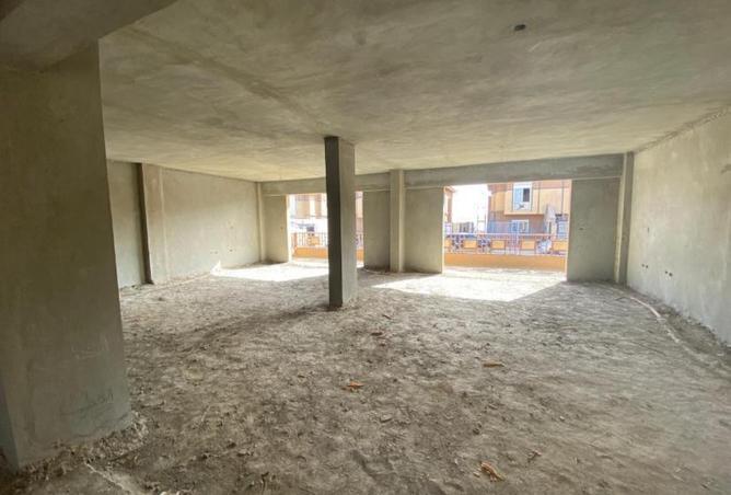 8397209 - Property Image 3